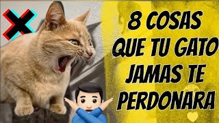 8 Cosas que tu Gato Jamás te Perdonará 🐱 GUIA para que NO te Odie tu FELINO 🐈