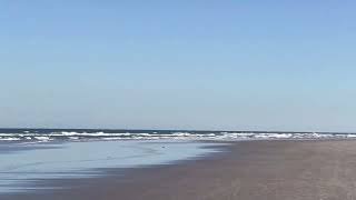 New Smyrna Sand Dune park/ Amazing island/Serene place