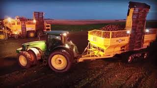 Jespersen's Digging Sugar Beets in Nebraska