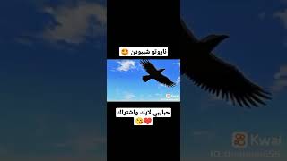 ناروتو شيبودن 🤩♥️ حبايبي لايك واشتراك ♥️😘#ون_بيس #لوفي #زورو #غون #اللحية_البيضاء  #ناروتو_شيبودن