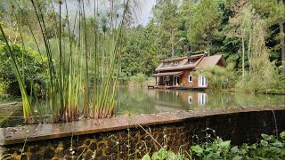 Serunya Nginap di Hutan - Taman Wisata Bougenville | Bandung