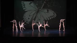 BUTTERFLY METAMORPHOSIS - Fouetté Academy of Dance