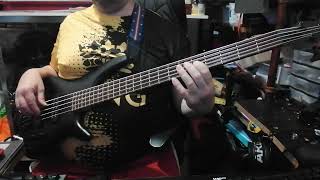 Pink Floyd - Comfortably Numb (Didier Cover Bass)