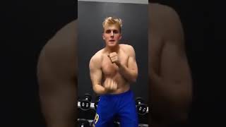 That’s why Jake Paul doesn’t want to try to fight in MMA ! 🤔🤔