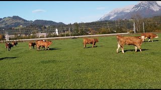 Tierwohlpreis 2019: Familie Landmann - Regionssieger Ost