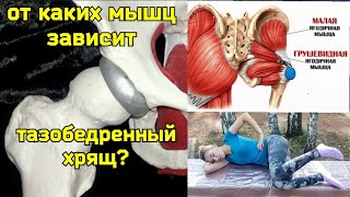 Почему ТРЕСКАЕТСЯ ХРЯЩ тазобедренного сустава? Причина в дисбалансе мышц. Упражнения