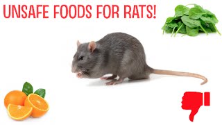 Unsafe Foods For Rats!