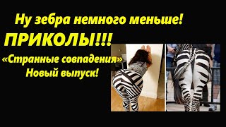 Прикольные и странные совпадения!  Улыбнитесь! 🌴Приколы