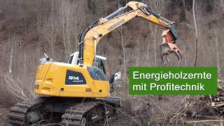 LU-DENGG: Energieholzernte mit #liebherr R 914 C #bagger | #oilquick #axer #hultdins Forstarbeit