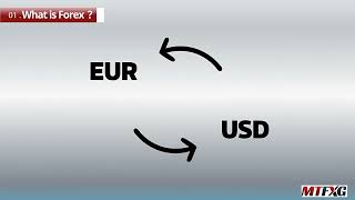 MTFXG - What is Forex - Forex Education -Learn Forex