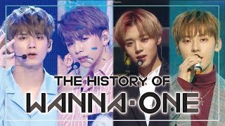 WANNAONE SPECIAL ★Since 'Energetic' to 'Spring Breeze'★(47m stage compilation)