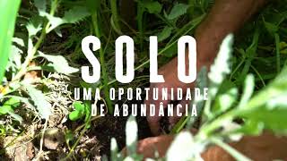 SOLO Uma oportunidade de abundância - Agrofloresta da Bela Flor Explica