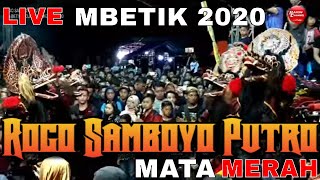 Jaranan ROGO SAMBOYO PUTRO Terbaru Live BETIK MOJOROTO KEDIRI 2020 GANONGAN BANTENGAN BARONGAN