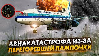 Авиакатастрофа Lockheed L-1011 TriStar в Эверглейдсе из за перегоревшей лампочки