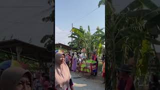 Jambu alas mb satria bahari di mayangan #shorts #subscribe #viral