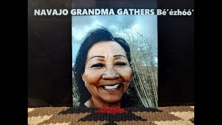 NAVAJO GRANDMA GATHERING BE'E'ZHO'O' DINE' HAIRBRUSH