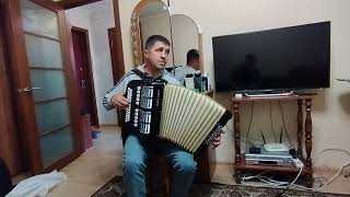 Очередная переделка Hohner в хромку