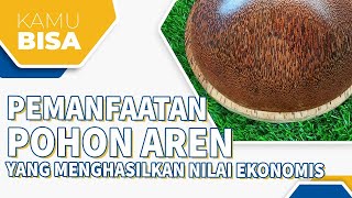 PEMANFAATAN POHON AREN YANG MENGHASILKAN NILAI EKONOMIS