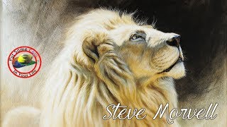 Pastel painting techniques and tutorial with wildlife artist, Steve Morvell I Colour In Your Life