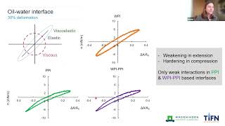 Emma Hinderink - Formation, structure and functionality of protein-stabilised fluid interfaces