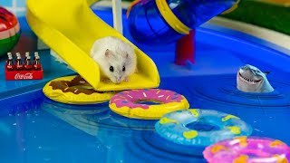 🐹MEGA HAMSTER RACE 🐹 maze with Traps hamster🐹 Minecraft Maze