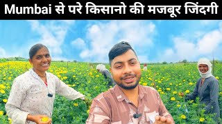 Painful Life Of A Flower Farmer | Marigold Flower Farming | Life Of Farmers