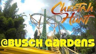 Cheeta Hunt@Busch Gardens