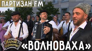 Волноваха | Группа «Партизан FM» (г. Москва) | Играй, гармонь! | @igraygarmon