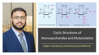 CHEM2114 | Lecture 16 | Cyclic Structures of Monosaccharides and Mutarotation