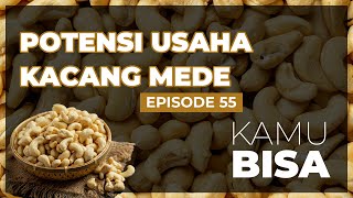 KAMU BISA "Potensi Usaha Kacang Mede" - Episode 55