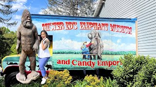 Discover The Charm Of Mr. Ed’s Elephant Museum And Candy Emporium: A Must-see Roadside Attraction!