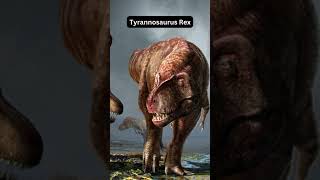 Top 5 most dangerous animals you must be thankful they are extinct