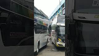 Tipis Nyaris Jago Supir Sinjay #busmania #sinarjaya #sinarjayamania #bus