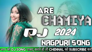 Are Chamiya tor pyar me paglalo❄ Dj remix New Nagpuri song 2024।🌾।@raju622❄