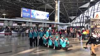 Vortex Dance Airlines во Внуково, Москва, 18 февраля 2019