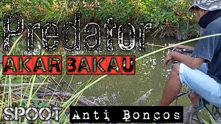 Mancing di Akar bakau//Sarang Kerapu||Spot Anti Boncos