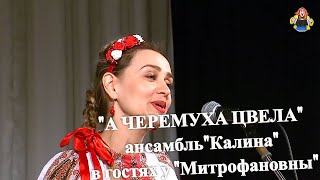 "А ЧЕРЕМУХА ЦВЕЛА", ансамбль "Калина" в гостях у "Митрофановны".