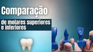 Comparação de molares Superiores e Inferiores.