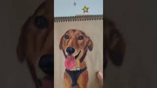 My fastest drawing to help dog shelters