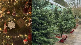 Decorating & Choosing the Christmas Tree!