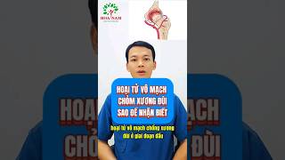 Nhận biết hoại tử vô mạch chỏm xương đùi#hoaituchomxuongdui #daukhophong #vatlytrilieuhoanam