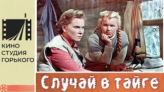 Случай в тайге (1953)