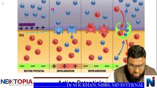 Nerve Muscle excitation II Medical Physiology II DR KHALEELULLAH