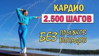 КАРДИО ТРЕНИРОВКА 2.500 ШАГОВ | Natinfitness