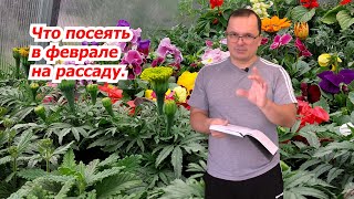 Что посеять на рассаду в феврале- только проверенные растения!