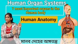 Human organ systems and their functions | মানব দেহের অঙ্গতন্ত্র| Human Anatomy