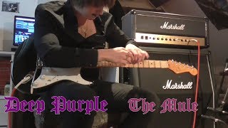 Deep Purple - The Mule (guitar cover)