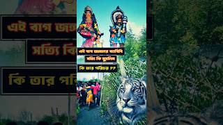 moipith sundarban #sundarban #sundarbanforest #shorts #youtubeshort