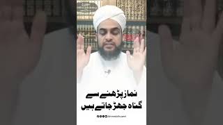 Namaz Padhne Se Gunaah Jhad Jaate Hain | Allama Habib Ahmed Al Huseni