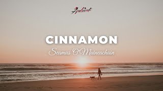 Seamus O'Muineachain - Cinnamon [ambient guitar piano]